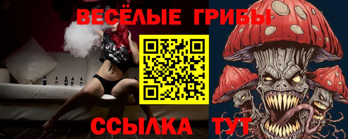 Псилоцибиновые грибы мицелий  купить   Туймазы  Вход с VPN 